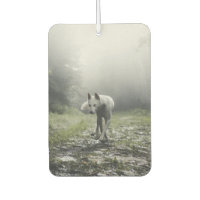 White Siberian Husky