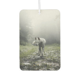 White Siberian Husky Car Air Freshener