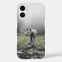 White Siberian Husky
