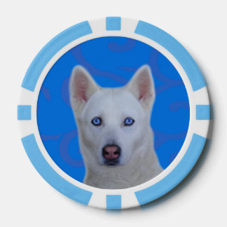 White Siberian Husky Clay Poker Chips, Blue Stripe Poker Chips
