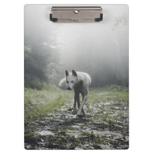 White Siberian Husky Clipboard