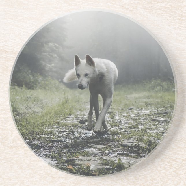 White Siberian Husky Coaster (Front)