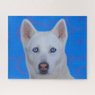White Siberian Husky Jigsaw Puzzle (Blue BG)