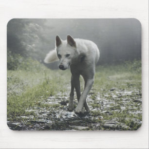 White Siberian Husky Mouse Pad