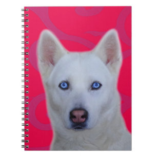 White Siberian Husky Notebook