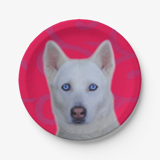 White Siberian Husky Paper Plate (Front)