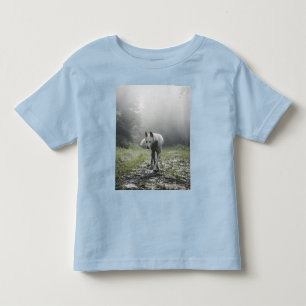White Siberian Husky Toddler T-Shirt
