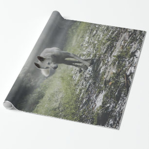 White Siberian Husky Wrapping Paper