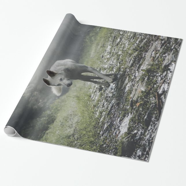 White Siberian Husky Wrapping Paper (Unrolled)