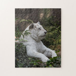 White Siberian Tiger Jigsaw Puzzle