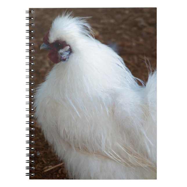 White Silkie Chicken Notebook (Front)