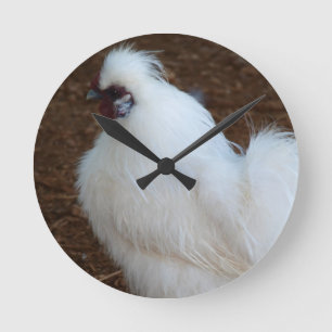 White Silkie Chicken Round Clock