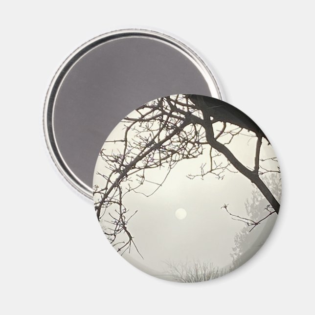 White Sky And Sun Dramatically Framed By Trees  Magnet (Front/Back)