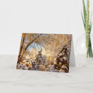 White Snow and Golden Sunlight Holiday Card 