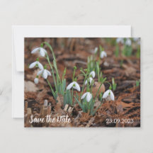 White Snow Drop Celebration Save the Date