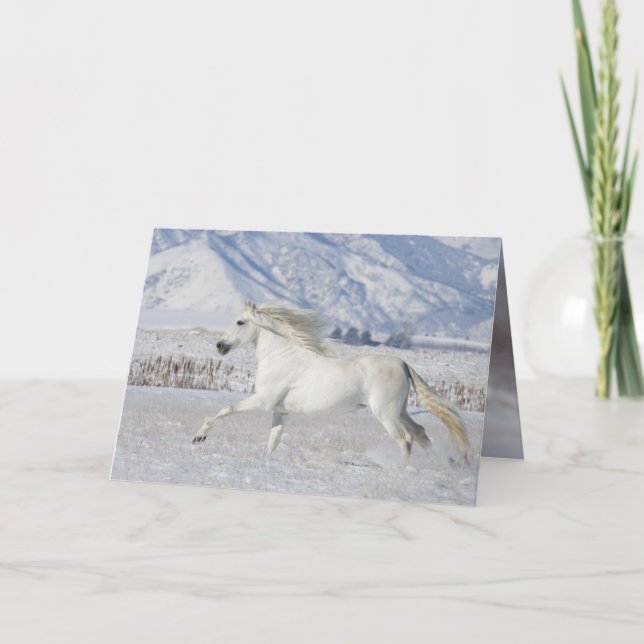 White Snow Stallion Horse Greeting Card (Front)