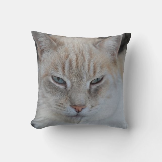 White Snow Tiger Cat - Cat Lovers Cushion (Front)