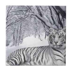 White Snow Tiger Ceramic Tile