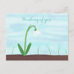 White Snowdrop Flower Thinking of you Postcards