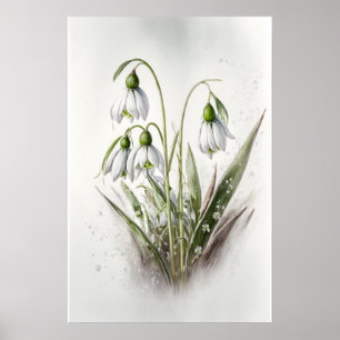 White Snowdrop Flowers Art Print Poster