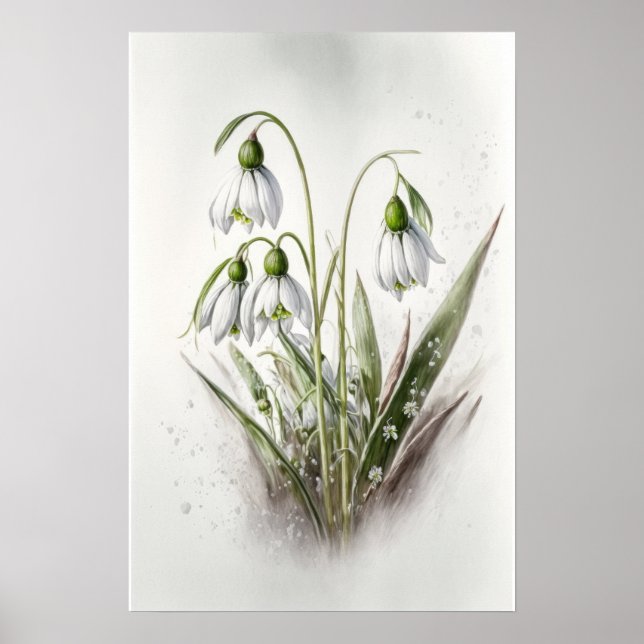 White Snowdrop Flowers Art Print Poster (Front)