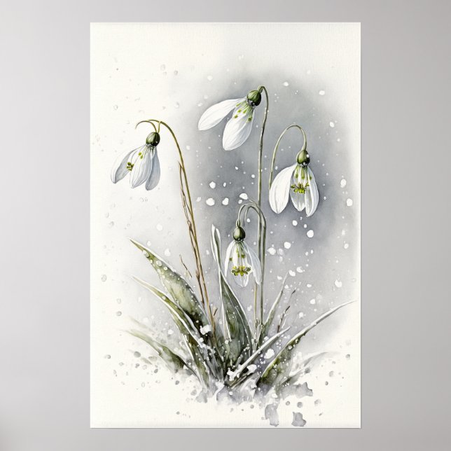 White Snowdrop Flowers Art Print Poster (Front)