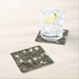 White Snowdrops in Spring Grass Square Paper Coaster