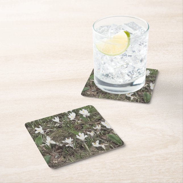 White Snowdrops in Spring Grass Square Paper Coaster (Insitu)