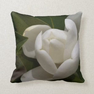white southern magnolia flower bud cushion