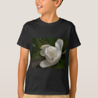 white southern magnolia flower bud