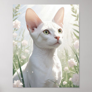 White Sphinx Cat and Flowers Poster