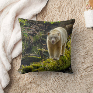 White Spirit Bear British Columbia, Canada Cushion