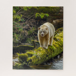 White Spirit Bear   British Columbia, Canada Jigsaw Puzzle