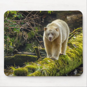 White Spirit Bear British Columbia, Canada Mouse Pad