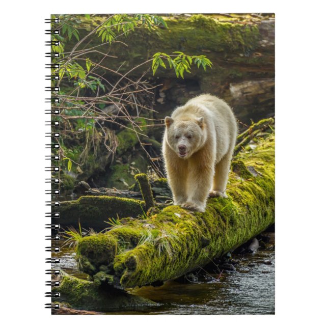 White Spirit Bear | British Columbia, Canada Notebook (Front)