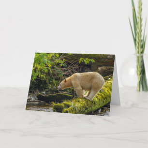 White Spirit Bear Card