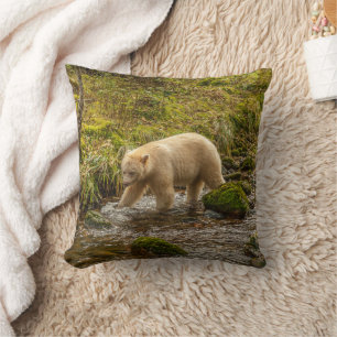 White Spirit Bear Hunts for fish on Riordan Creek Cushion