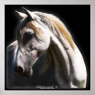 White Spirit Stallion Equine Art Poster
