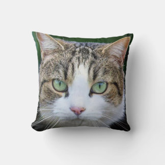 White spotted cat - lovers of cat photos cushion