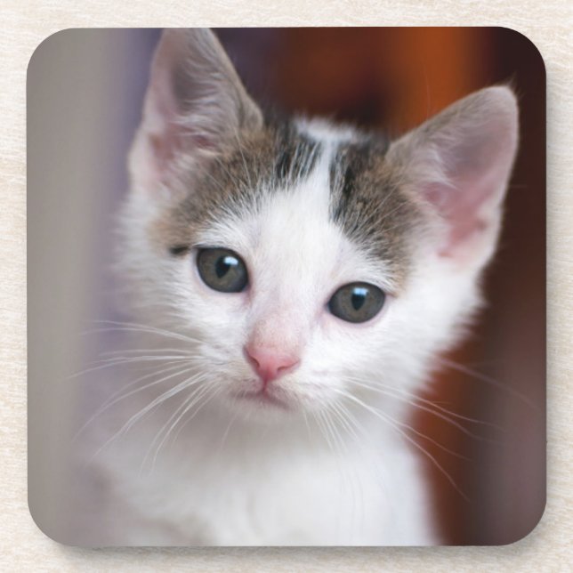 White Spotted Kitty Coaster (Front)