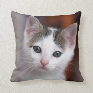 White Spotted Kitty Cushion