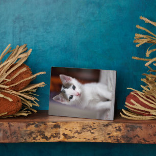 White Spotted Kitty Plaque