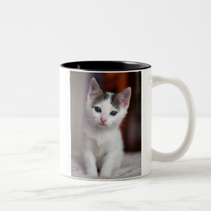 White Spotted Kitty Two-Tone Coffee Mug