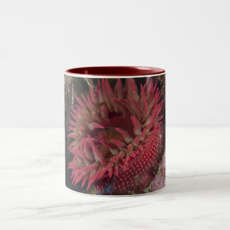 White-spotted Rose Anemone Two-Tone Coffee Mug