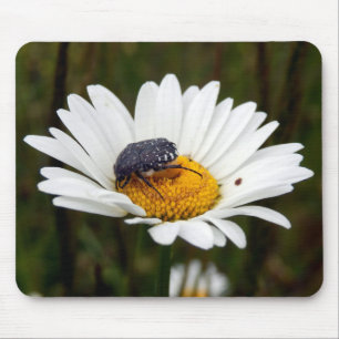 White-spotted Rose Beetle Mouse Mat