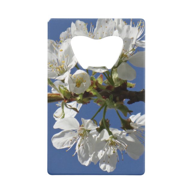 White Spring Bloom (Front)