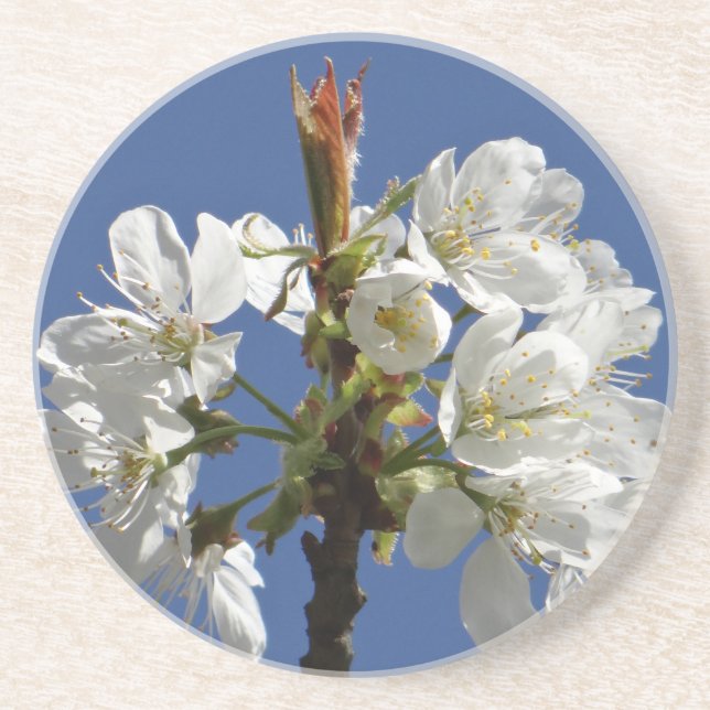 White Spring Bloom Coaster (Front)