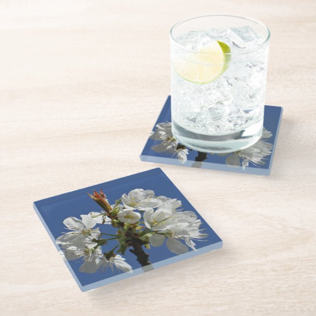 White Spring Bloom Glass Coaster (Angled)