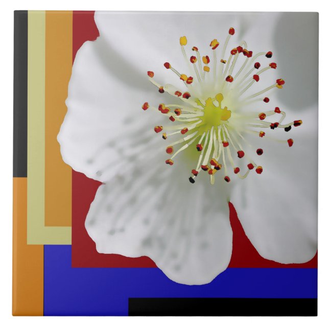 White Spring Blossom Fine Art Colourful Geometric  Ceramic Tile (Front)