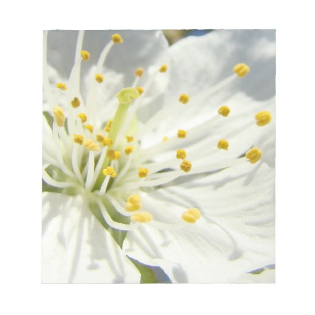 White Spring Blossom notepads custom (Front)